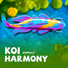 koi-harmony