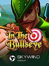 in-the-bullseye