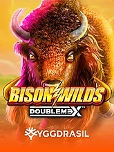 Bison Wilds