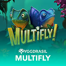 multifly